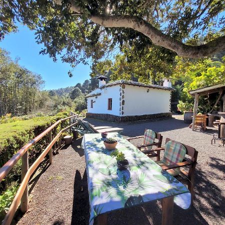 Finca Llano De La Cebolla Icod De Los Vinos Dış mekan fotoğraf