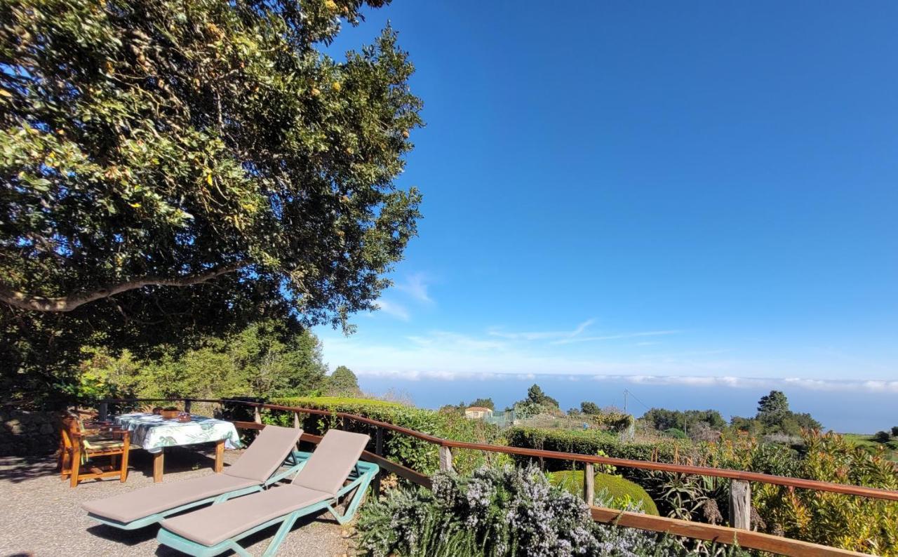 Finca Llano De La Cebolla Icod De Los Vinos Dış mekan fotoğraf