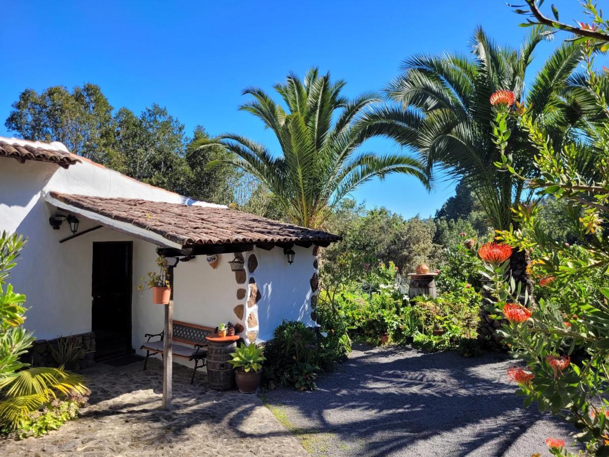 Finca Llano De La Cebolla Icod De Los Vinos Dış mekan fotoğraf