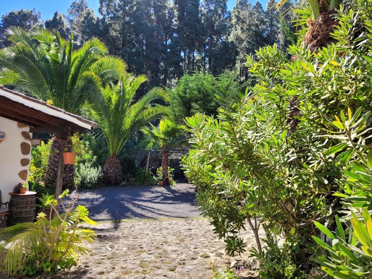 Finca Llano De La Cebolla Icod De Los Vinos Dış mekan fotoğraf
