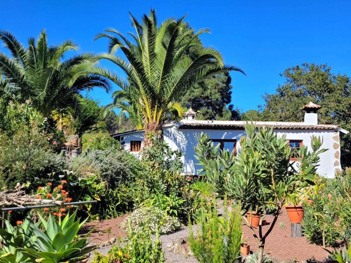 Finca Llano De La Cebolla Icod De Los Vinos Dış mekan fotoğraf