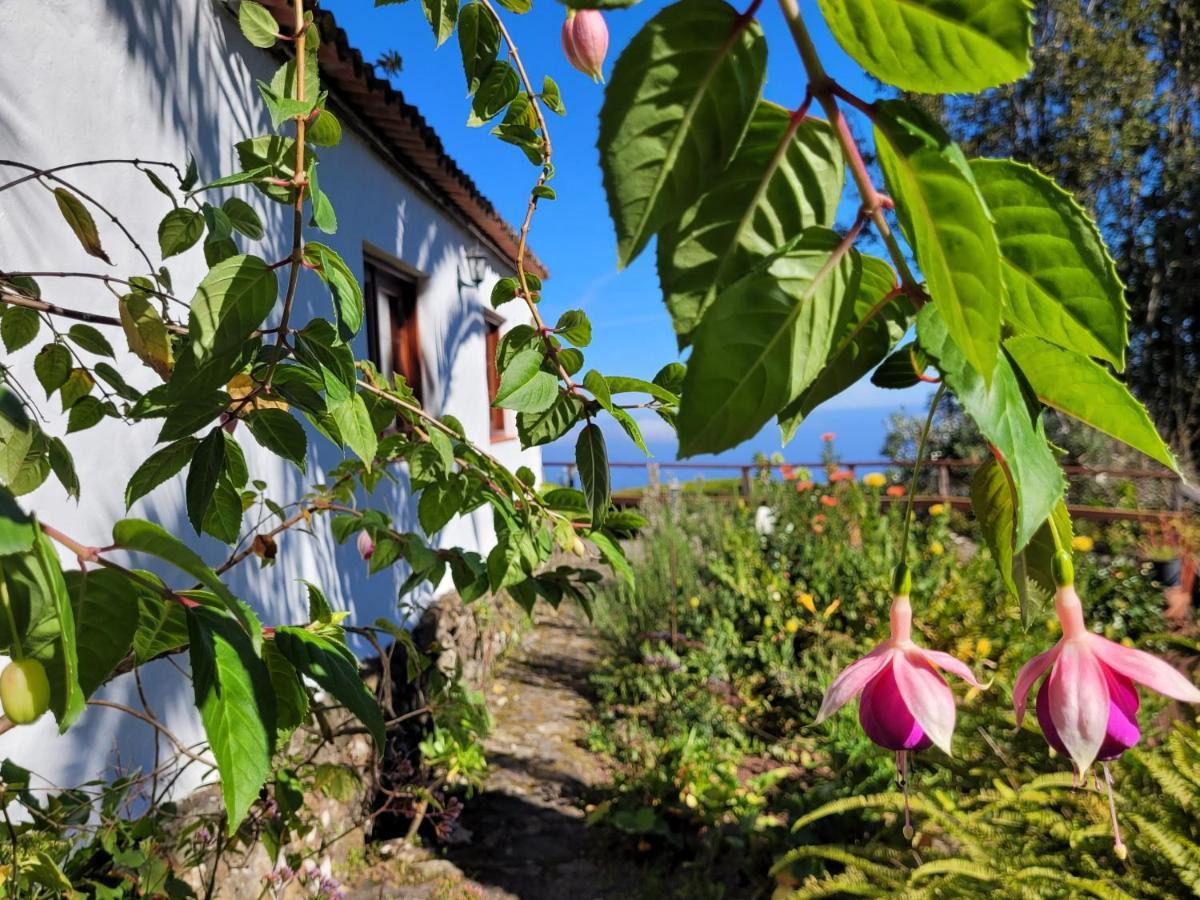 Finca Llano De La Cebolla Icod De Los Vinos Dış mekan fotoğraf