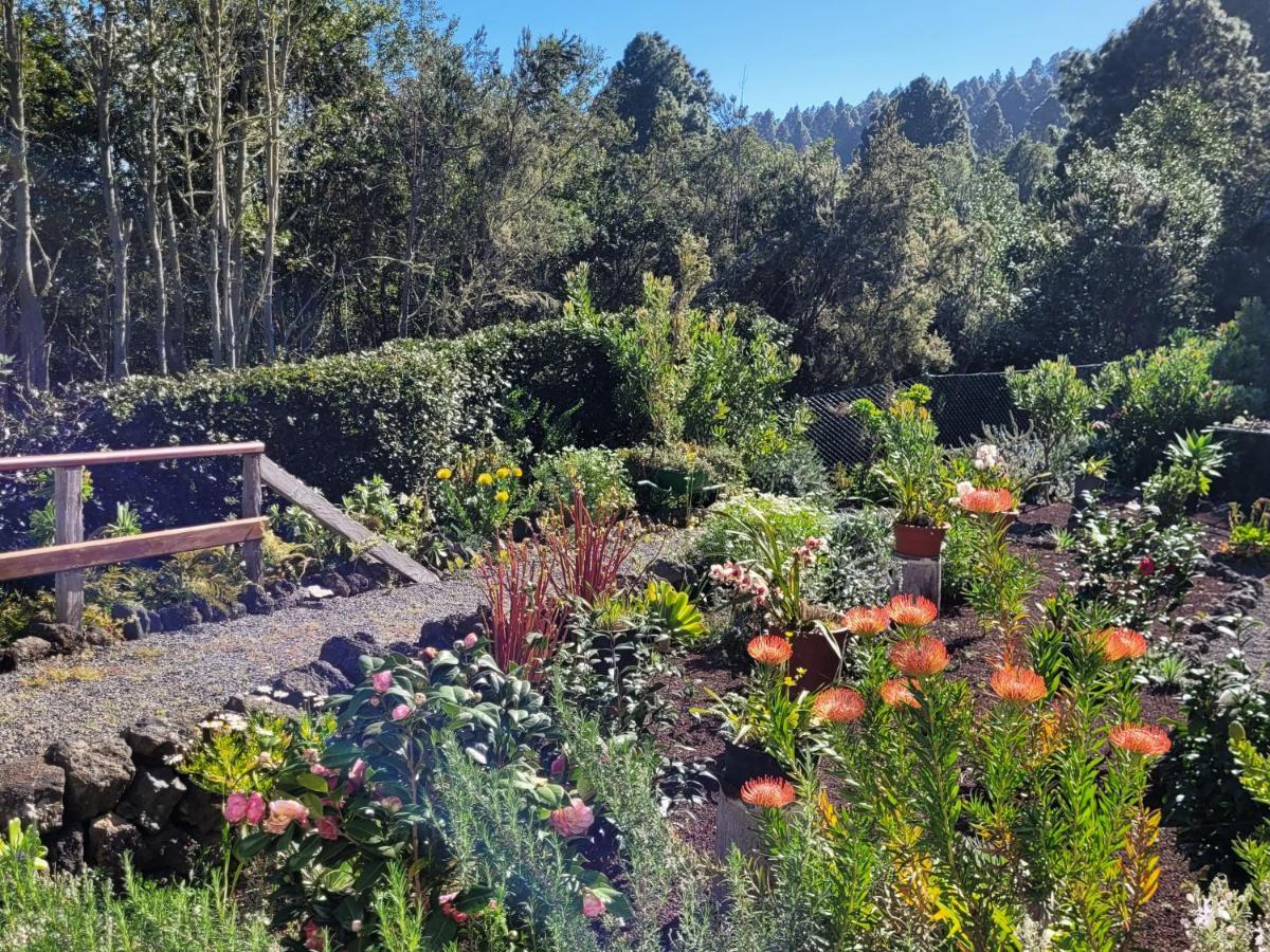 Finca Llano De La Cebolla Icod De Los Vinos Dış mekan fotoğraf