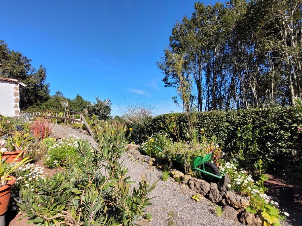 Finca Llano De La Cebolla Icod De Los Vinos Dış mekan fotoğraf