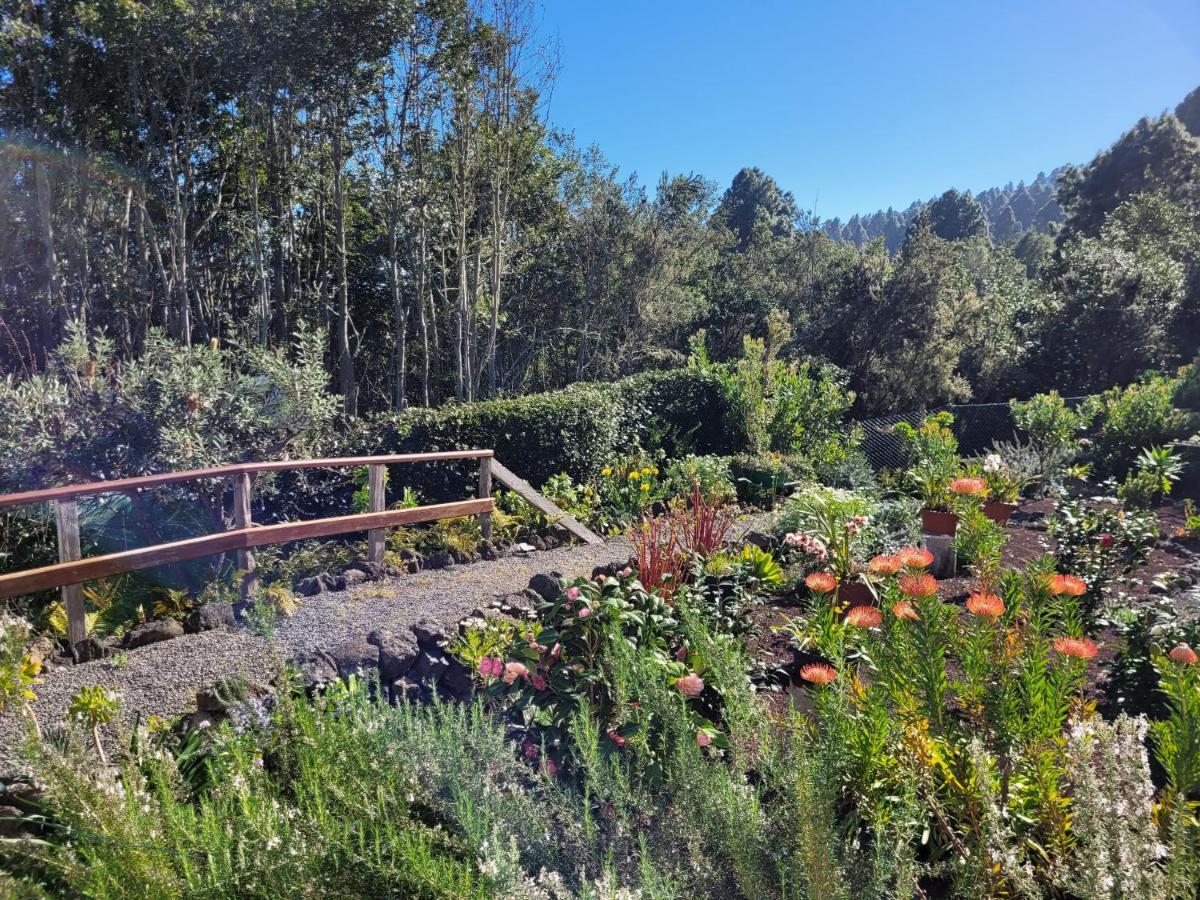 Finca Llano De La Cebolla Icod De Los Vinos Dış mekan fotoğraf
