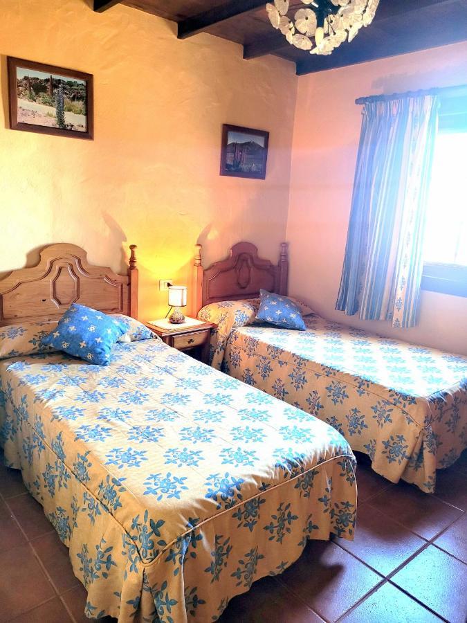 Finca Llano De La Cebolla Icod De Los Vinos Dış mekan fotoğraf
