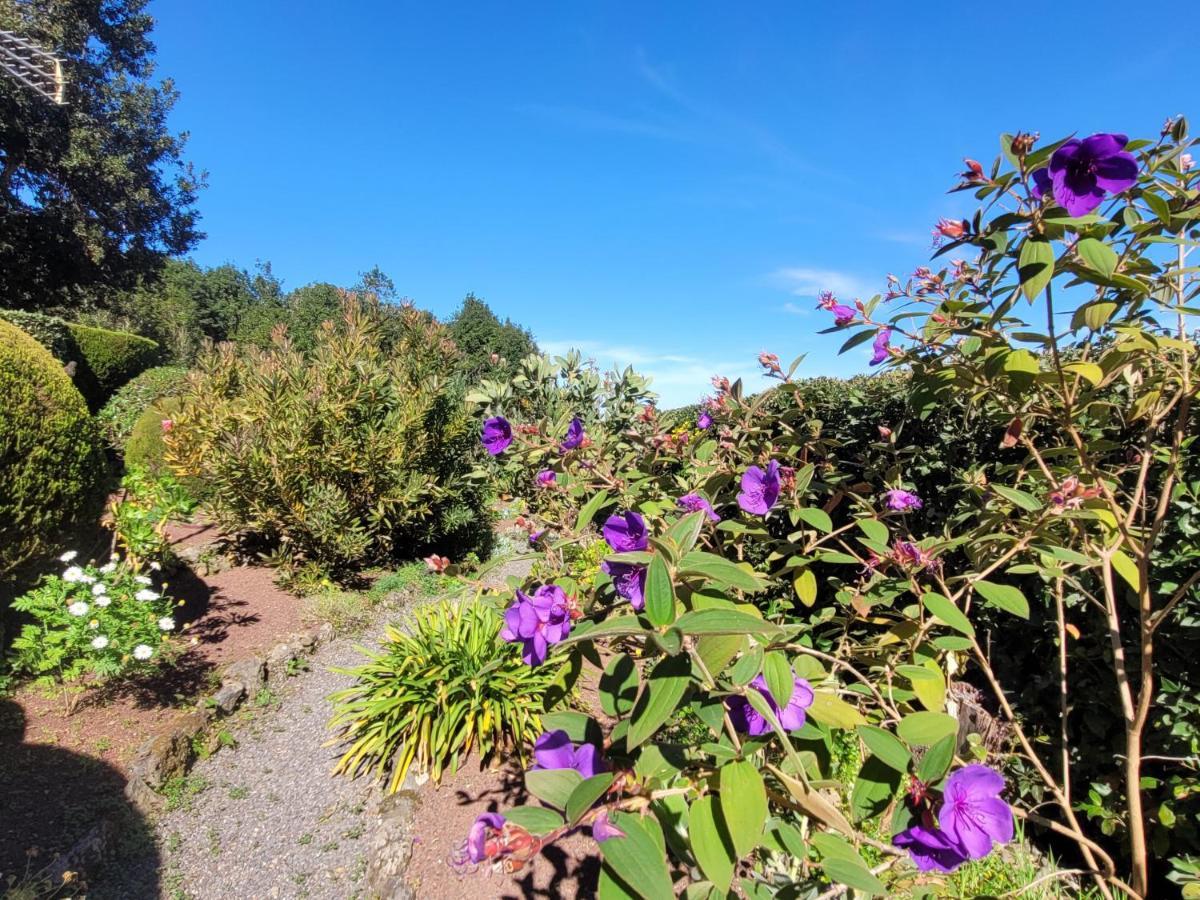 Finca Llano De La Cebolla Icod De Los Vinos Dış mekan fotoğraf