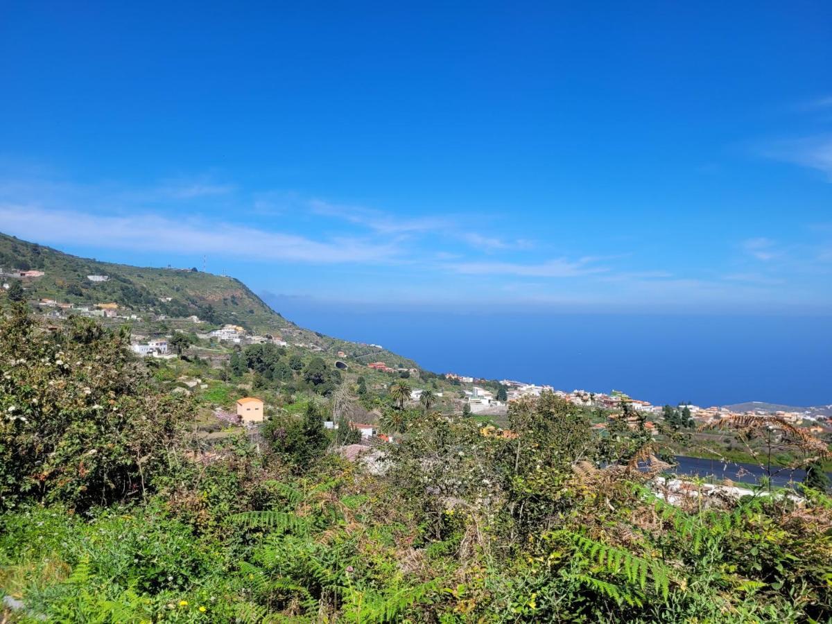 Finca Llano De La Cebolla Icod De Los Vinos Dış mekan fotoğraf